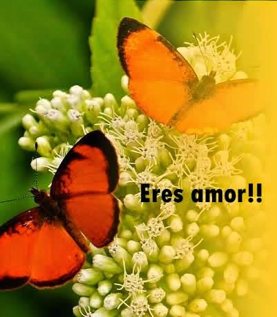 Tutte le relazioni speciali hanno come meta il peccato. Parte 1.