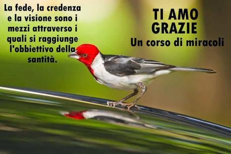 Tutte le relazioni speciali hanno come meta il peccato. Parte 1.