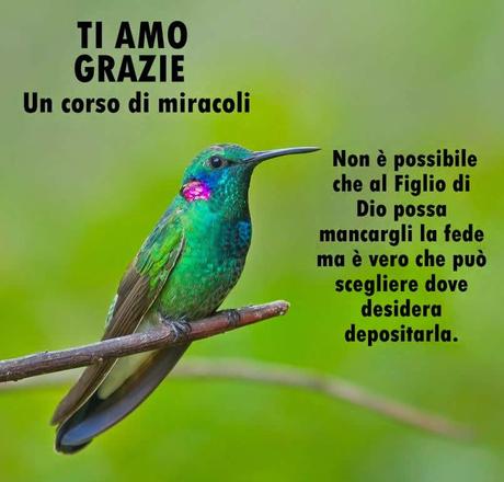 Tutte le relazioni speciali hanno come meta il peccato. Parte 1.