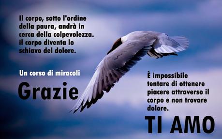 Il corpo non può darti né pace né agitazione, né allegria né dolore, perché è un mezzo non un fine.