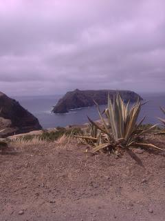 Vacanze a Madeira : L'isola dell'Eterna Primavera!..