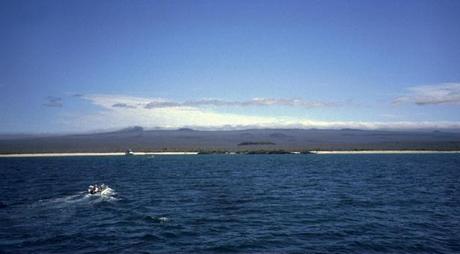 Altre Mete Vi Porta : Alle Galapagos