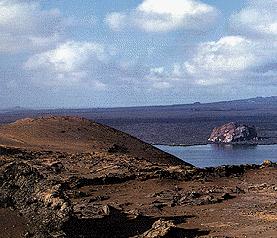 Altre Mete Vi Porta : Alle Galapagos