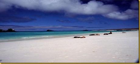 Foto Galapagos Spiaggia 3