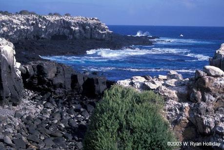 Altre Mete Vi Porta : Alle Galapagos