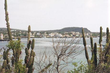 Altre Mete Vi Porta : Alle Galapagos