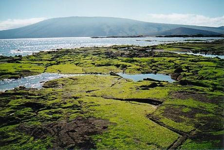 Altre Mete Vi Porta : Alle Galapagos