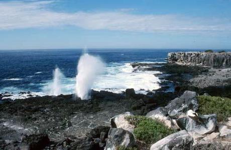 Altre Mete Vi Porta : Alle Galapagos