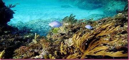 Foto Bahamas Sub 2 Foto Bahamas Sub 2