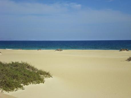 Le 5 spiagge da non perdere a FUERTEVENTURA