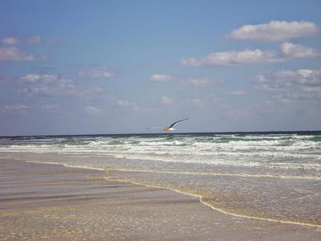 Le 5 spiagge da non perdere a FUERTEVENTURA