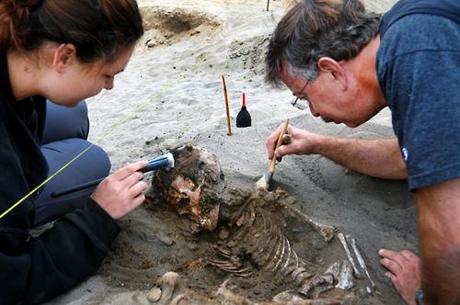 Resti di bambini e lama sacrificati in Perù