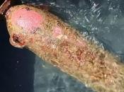 relitto Panarea III, foto