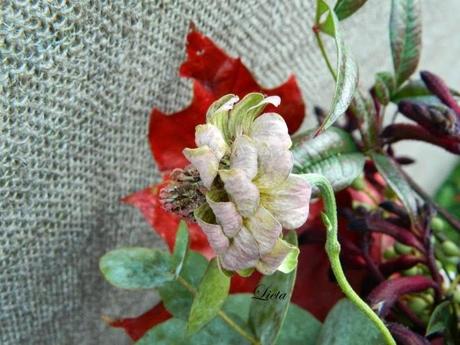 Pentolone di Halloween pieno di...fiori