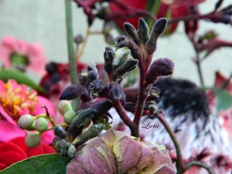 Pentolone di Halloween pieno di...fiori