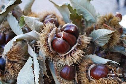 SAGRA DELLA CASTAGNA DI VALLERANO: ultimo week-end tra trekking e visite guidate (1-2 novembre)