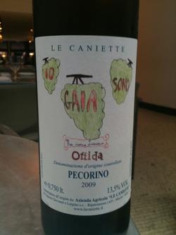 Offida DOCG Pecorino