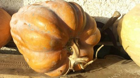 Buon Halloween da Ricette e Salute con le Zucche di Nonna...