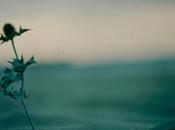 Tranquilla solitudine