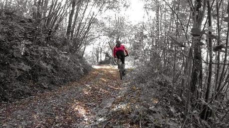 #mtb #0112014 #murphy #spiritoguida #caduta #cancelli