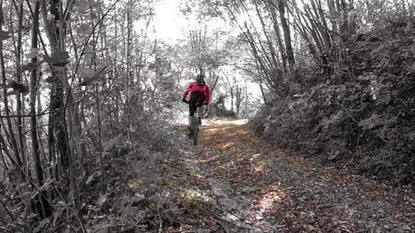 #mtb #0112014 #murphy #spiritoguida #caduta #cancelli