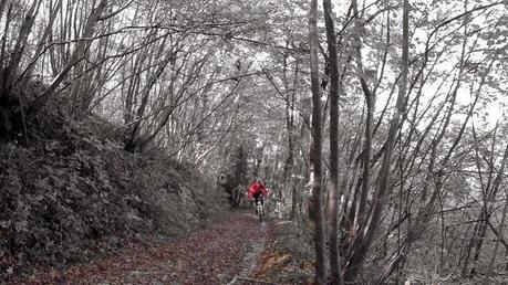 #mtb #0112014 #murphy #spiritoguida #caduta #cancelli