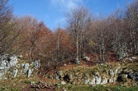 Veliki Vrh, castagne e ribolla : Autunno sul Matajur