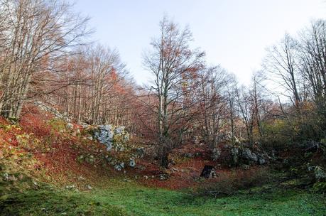 Veliki Vrh, castagne e ribolla : Autunno sul Matajur