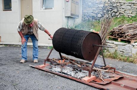 Veliki Vrh, castagne e ribolla : Autunno sul Matajur