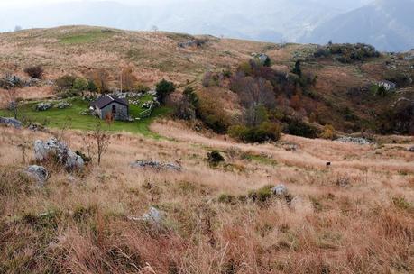 Veliki Vrh, castagne e ribolla : Autunno sul Matajur