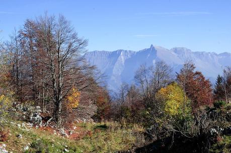 Veliki Vrh, castagne e ribolla : Autunno sul Matajur