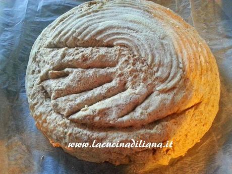 Pane con farina di Farro e di Grano Saraceno