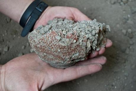 I segreti di Pompei: la bottega del vasaio