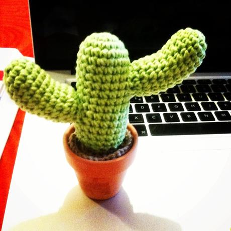 Amigurumi: I miei cactus