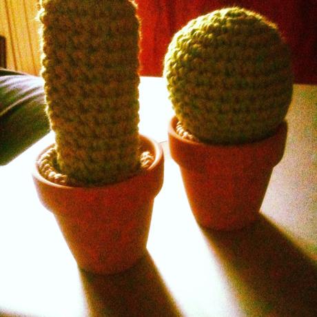 Amigurumi: I miei cactus