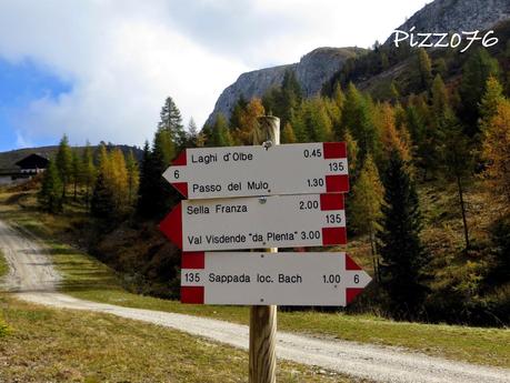 laghi d'olbe sappada comelico