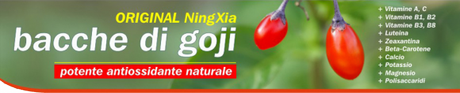 goji-header-1000-px