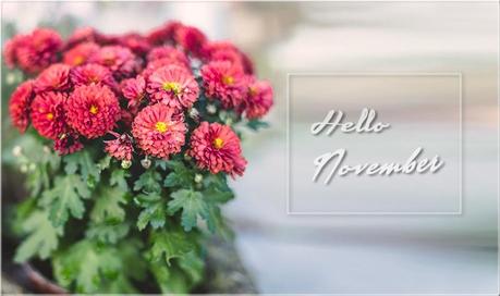 Mari Crea Photography