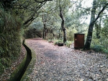 #IoCammino a Madeira: Levada dos BalcĂľes