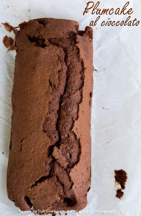 Plumcake al cioccolato senza glutine