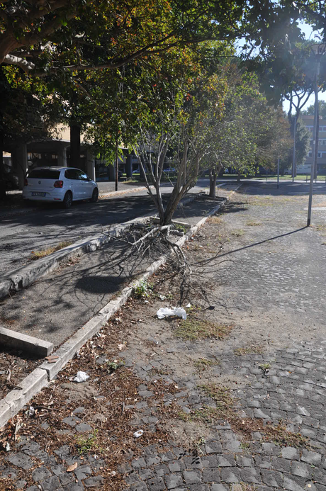 Tante foto per certificare la débacle del Villaggio Olimpico. Dovunque sarebbe stato un quartiere modello, a Roma è una fetecchia clamorosa da vergognarsi