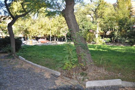 Tante foto per certificare la débacle del Villaggio Olimpico. Dovunque sarebbe stato un quartiere modello, a Roma è una fetecchia clamorosa da vergognarsi