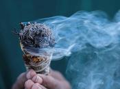 Popolo Rosso Salvia bianca