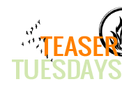 Teaser tuesdays