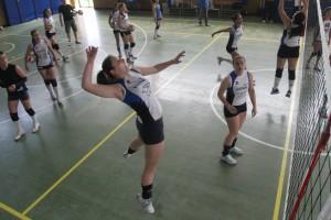 (luinovolley.it)