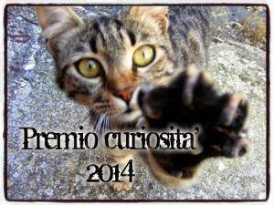 Curioso...come un gatto :-)