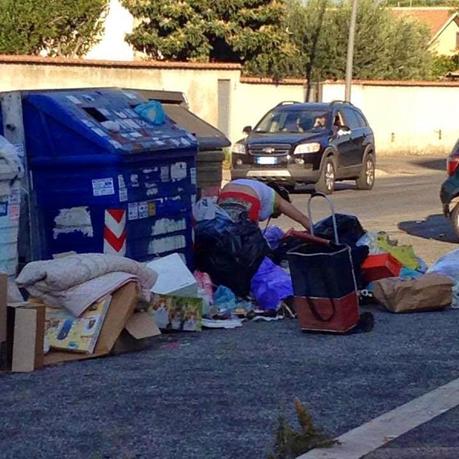 Tornano i maiali a Boccea. Come un anno fa, suini grufolano nella spazzatura che l'Ama non è all'altezza di ritirare