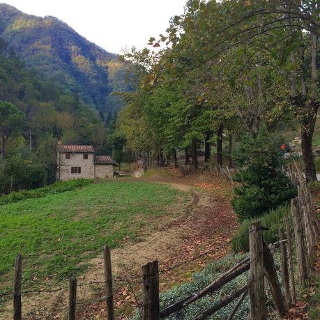 #Girodilaria:  Bagno di Romagna, come ritrovarsi in un piccolo borgo termale