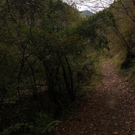 #Girodilaria:  Bagno di Romagna, come ritrovarsi in un piccolo borgo termale