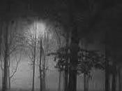 Luna della Nebbia
